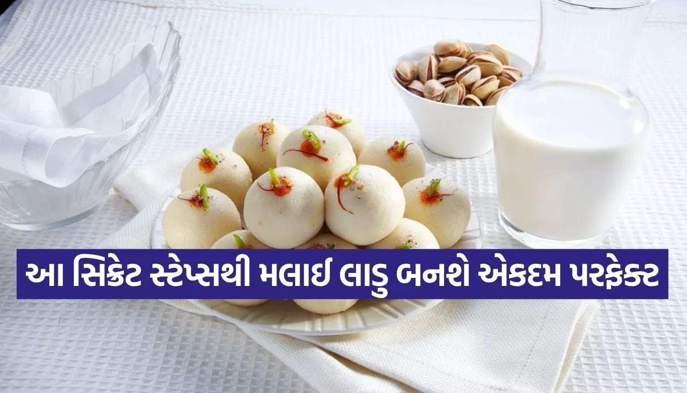 Copy of Satya web temp 44.jpg.webp