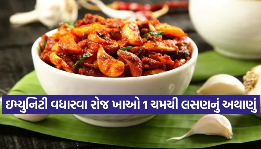 સ્વાદ સાથે સ્વાસ્થ્યનો ખજાનો! લસણનું અથાણું તમને કેન્સર અને હાર્ટ એટેક જેવી ગંભીર બીમારીઓથી રાખશે દૂર 1 Copy of Satya web temp 51.jpg.webp