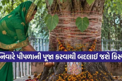 Copy of Satya web temp 54.jpg.webp