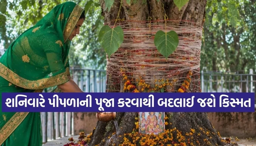 Copy of Satya web temp 54.jpg.webp