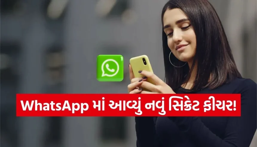 WhatsAppનું નવું ‘Blur Spoiler Tool’ કેવી રીતે બદલી નાખશે ચેટિંગનો અંદાજ? 1 Copy of Satya web temp 60.jpg.webp