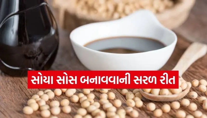 હવે બજારમાંથી સોયા સોસ ખરીદવાનું બંધ કરો! ઘરે જ બનાવો રેસ્ટોરન્ટ જેવો ‘ઓથેન્ટિક’ સ્વાદ 1 Copy of Satya web temp 73.jpg.webp