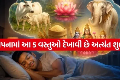Copy of Satya web temp 76.jpg.webp
