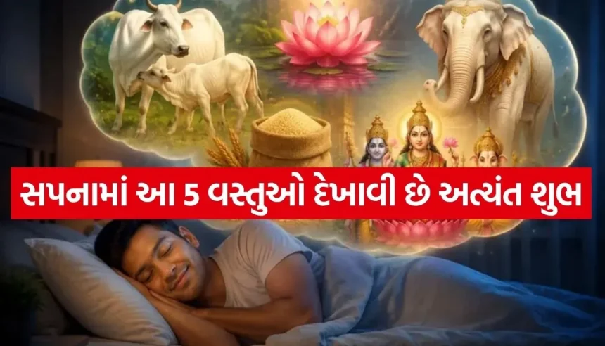 Copy of Satya web temp 76.jpg.webp