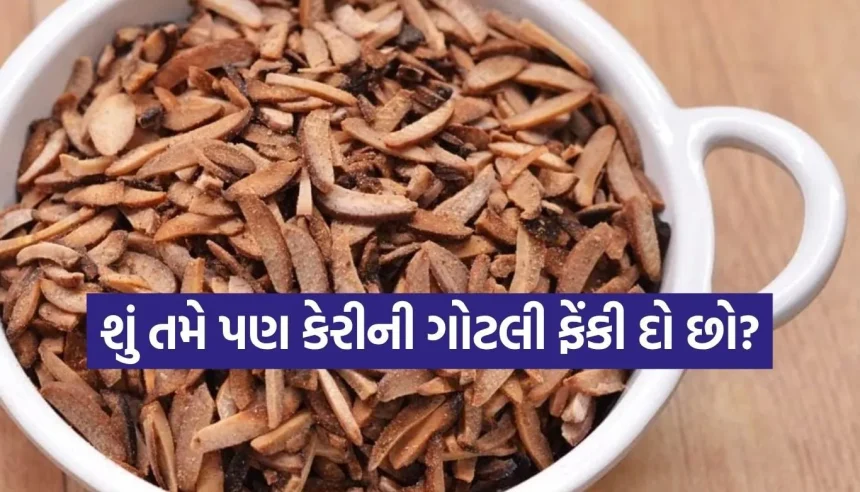 કચરો સમજીને ફેંકી ન દેતા, કેરીની ગોટલીમાંથી આ રીતે મિનિટોમાં બનાવો બજાર જેવો મુખવાસ 1 Copy of Satya web temp 9.jpg.webp