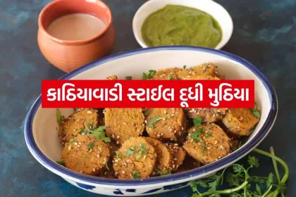 Dudhi Muthiya 1606.jpg.webp