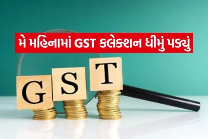 GST 0106.jpg.webp