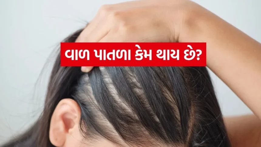 વાળ પાતળા પાતળા થઈ ગયા છે? કાળા, લાંબા અને ઘટ્ટ વાળ મેળવવા માટે આજે જ ફોલો કરો આ ટિપ્સ 1 Hair 0606.jpg.webp