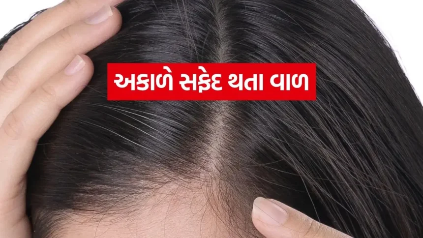 Hair 2206.jpg.webp