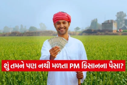 India 2026 06 16T120528.141.jpg.webp
