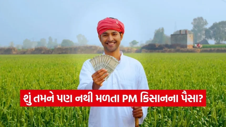 પ્રધાનમંત્રી કિસાન સન્માન નિધિ યોજના: 23મો હપ્તો મેળવવાની તૈયારી, આ રીતે તપાસો તમારું સ્ટેટસ 1 India 2026 06 16T120528.141.jpg.webp