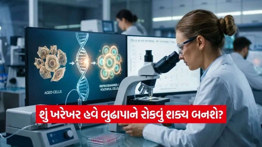 બુઢાપો રોકવાની દવા આવી ગઈ! જાણો શું છે આ ‘સેલ્યુલર રીપ્રોગ્રામિંગ’ જે બદલી નાખશે દુનિયા 1 India 2026 06 18T135132.245.jpg.webp