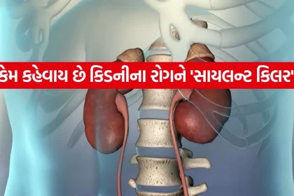 Kidney 0406.jpg.webp