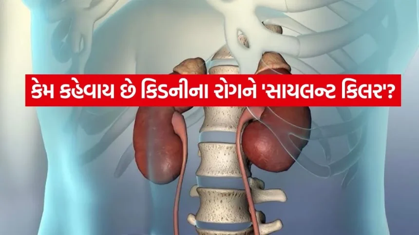 Kidney 0406.jpg.webp