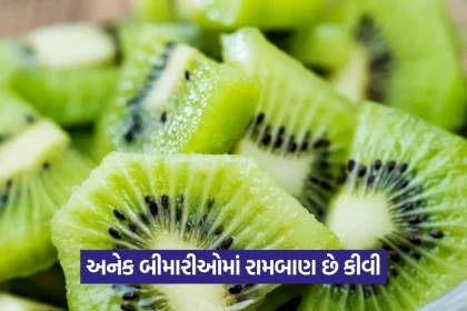 Kiwi 1508.jpg.webp