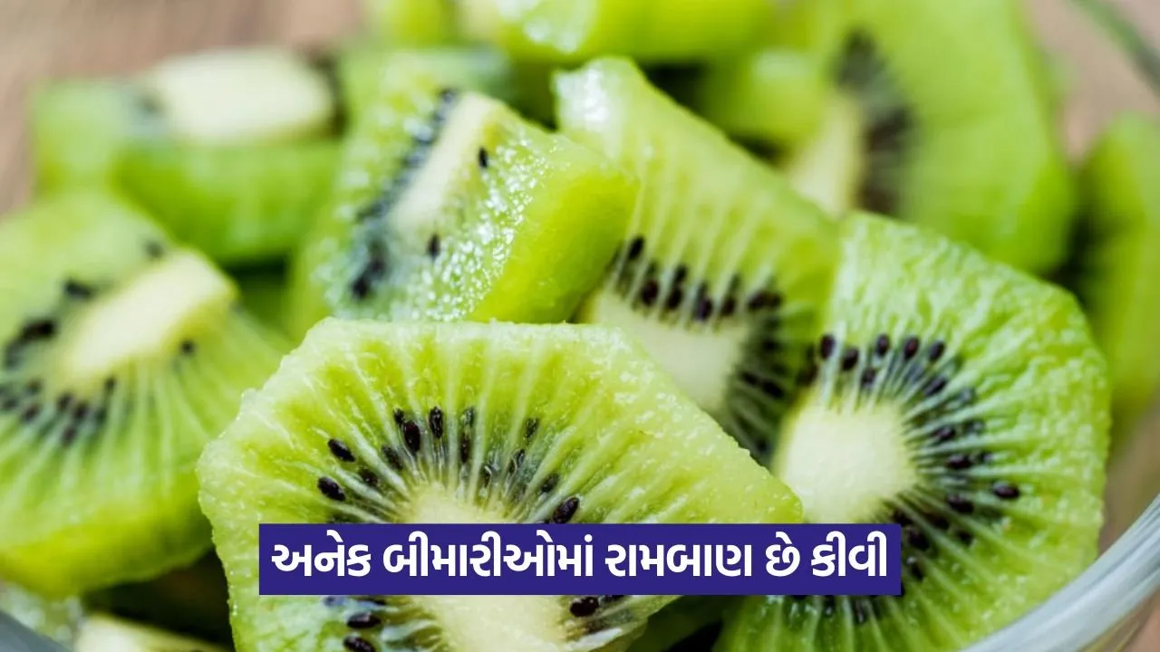 Kiwi 1508.jpg.webp