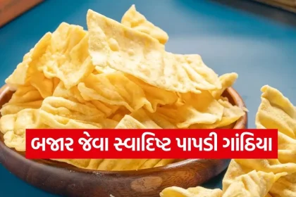Papdi gathiya 1606.jpg.webp