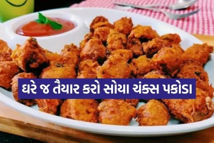 Soya Pakoda 2006.jpg.webp