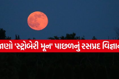 Strawberry Moon 2806