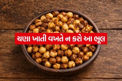 chana 1606.jpg.webp