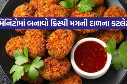 green moong dal cutlet 2206.jpg.webp