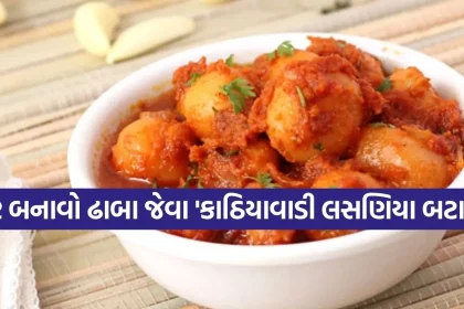 1783626281 Copy of Satya web temp 13.jpg.webp