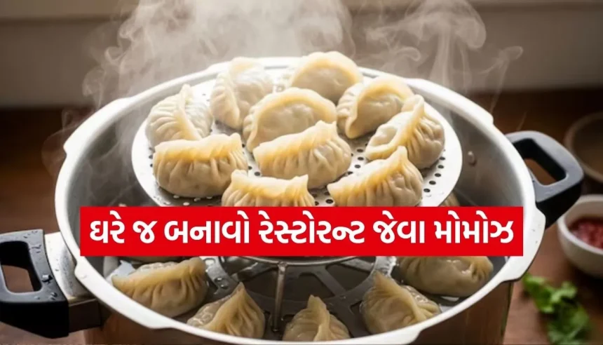 ઘરના રસોડામાં જ મિનિટોમાં તૈયાર કરો હોટેલ સ્ટાઇલ વેજ મોમોઝ અને તીખી ચટણી 1 1783914828 Copy of Satya web temp 4.jpg.webp