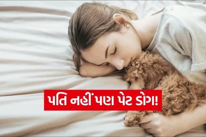 1784839482 iNDIA 24.jpg.webp