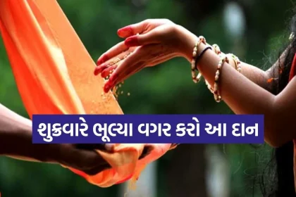 1784896181 Copy of Satya web temp 12.jpg.webp