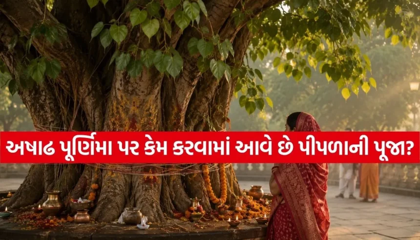 અષાઢ પૂર્ણિમા પર પીપળાના વૃક્ષની પૂજાનું વિશેષ મહત્ત્વ, જાણો શા માટે છે ખાસ 1 1785127058 Copy of Satya web temp 11.jpg.webp