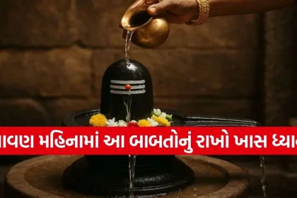 1785155892 Copy of Satya web temp 29.jpg.webp
