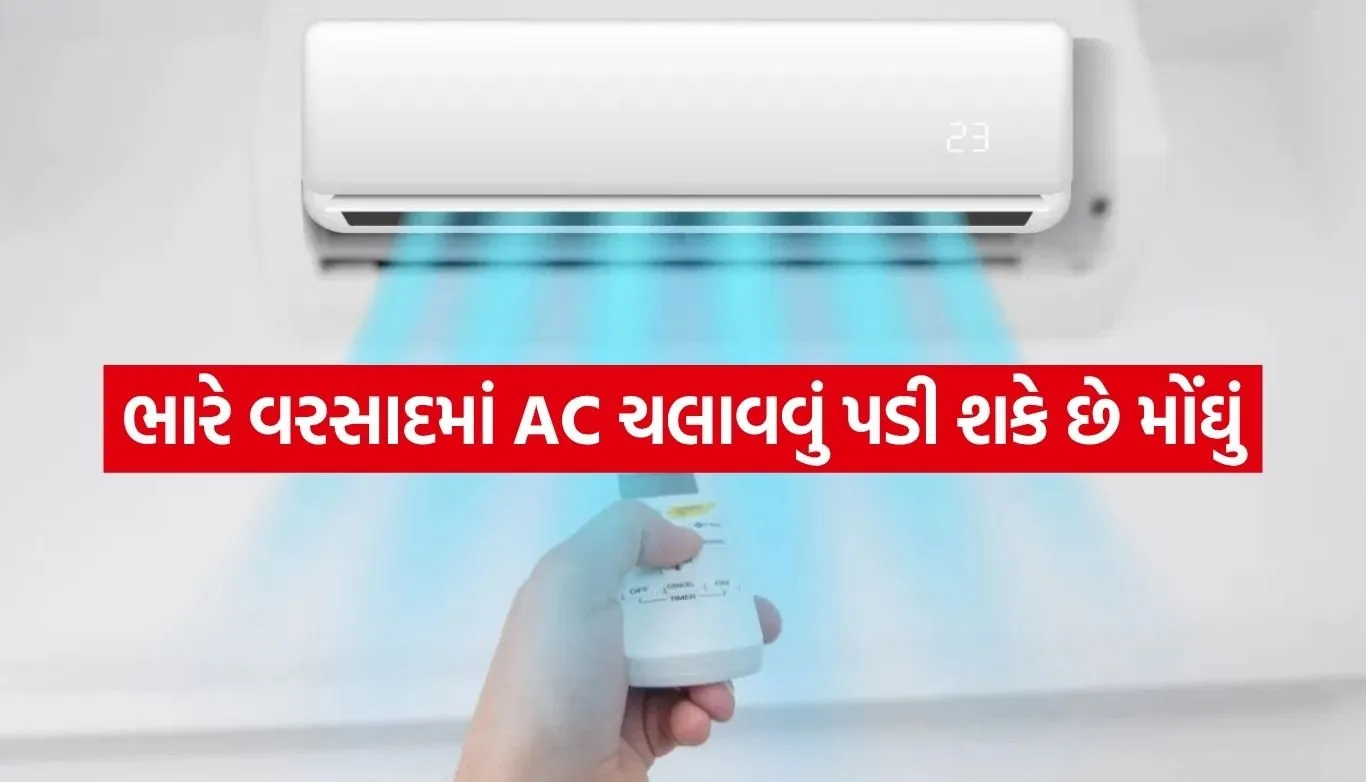 1785244665 Copy of Satya web temp 20.jpg.webp
