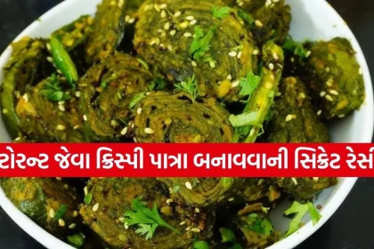 1785329668 Copy of Satya web temp 15.jpg.webp