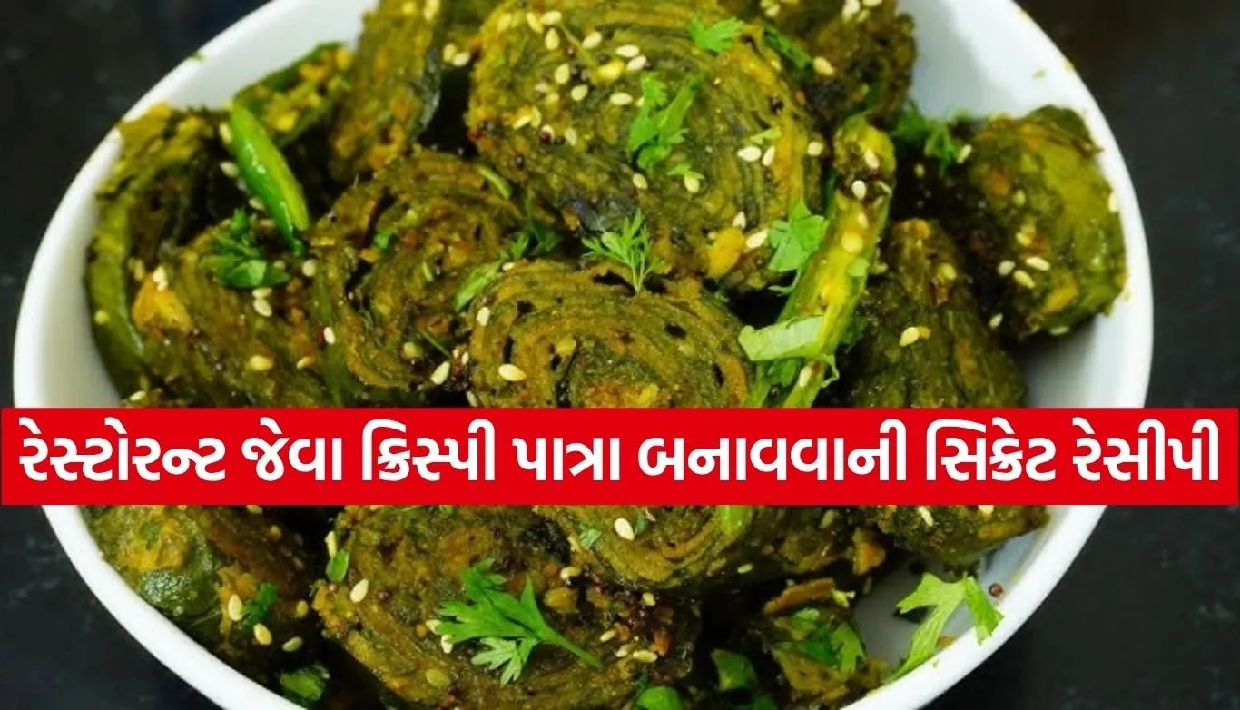 1785329668 Copy of Satya web temp 15.jpg.webp