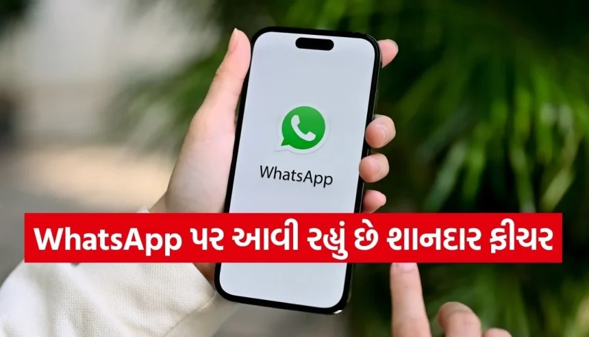 WhatsApp: હવે ઇન્સ્ટાગ્રામ જેવું જ મજા આવશે ચેટિંગમાં, WhatsApp પર આવી રહ્યું છે ‘ડબલ ટેપ રિએક્શન’ ફીચર 1 1785475574 Copy of Satya web temp 13.jpg.webp
