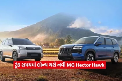2MG Hector Hawk.jpg.webp