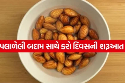 Almond 3004.jpg.webp