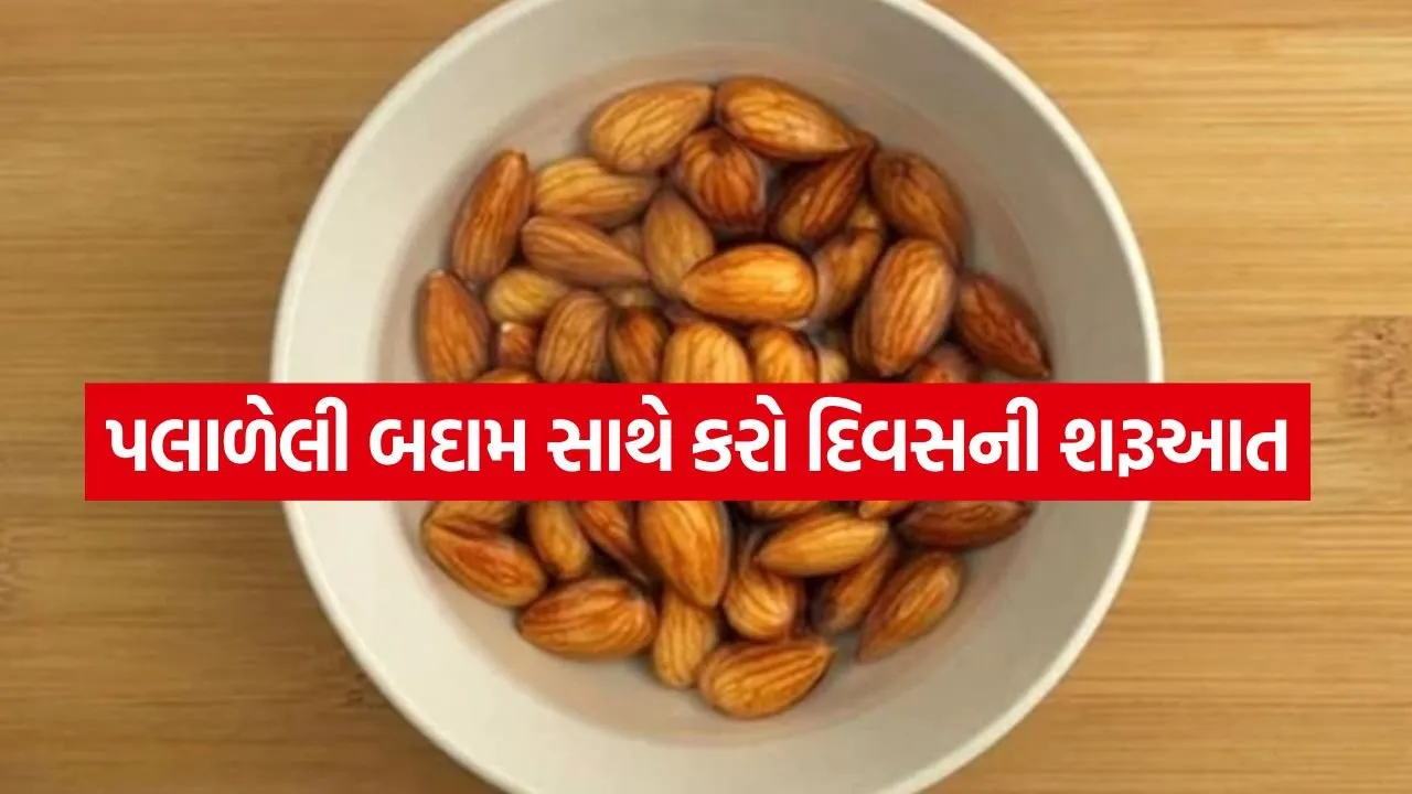 Almond 3004.jpg.webp