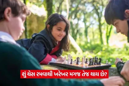 Chess3.jpg.webp