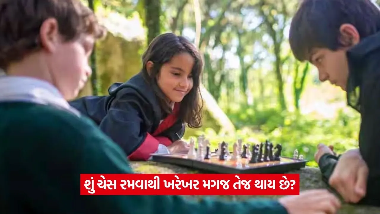 Chess3.jpg.webp