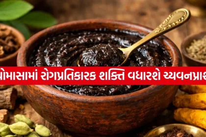 Chyawanprash 2307.jpg.webp