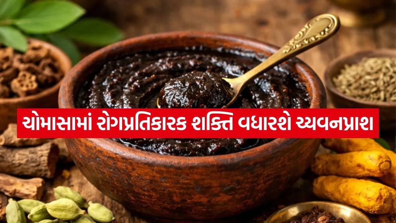 Chyawanprash 2307.jpg.webp