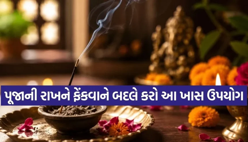 પૂજાની રાખ કચરાપેટીમાં ફેંકો છો? તો સાવધાન! જાણો શાસ્ત્રો અનુસાર શું છે સાચી રીત 1 Copy of Satya web temp 1.jpg.webp