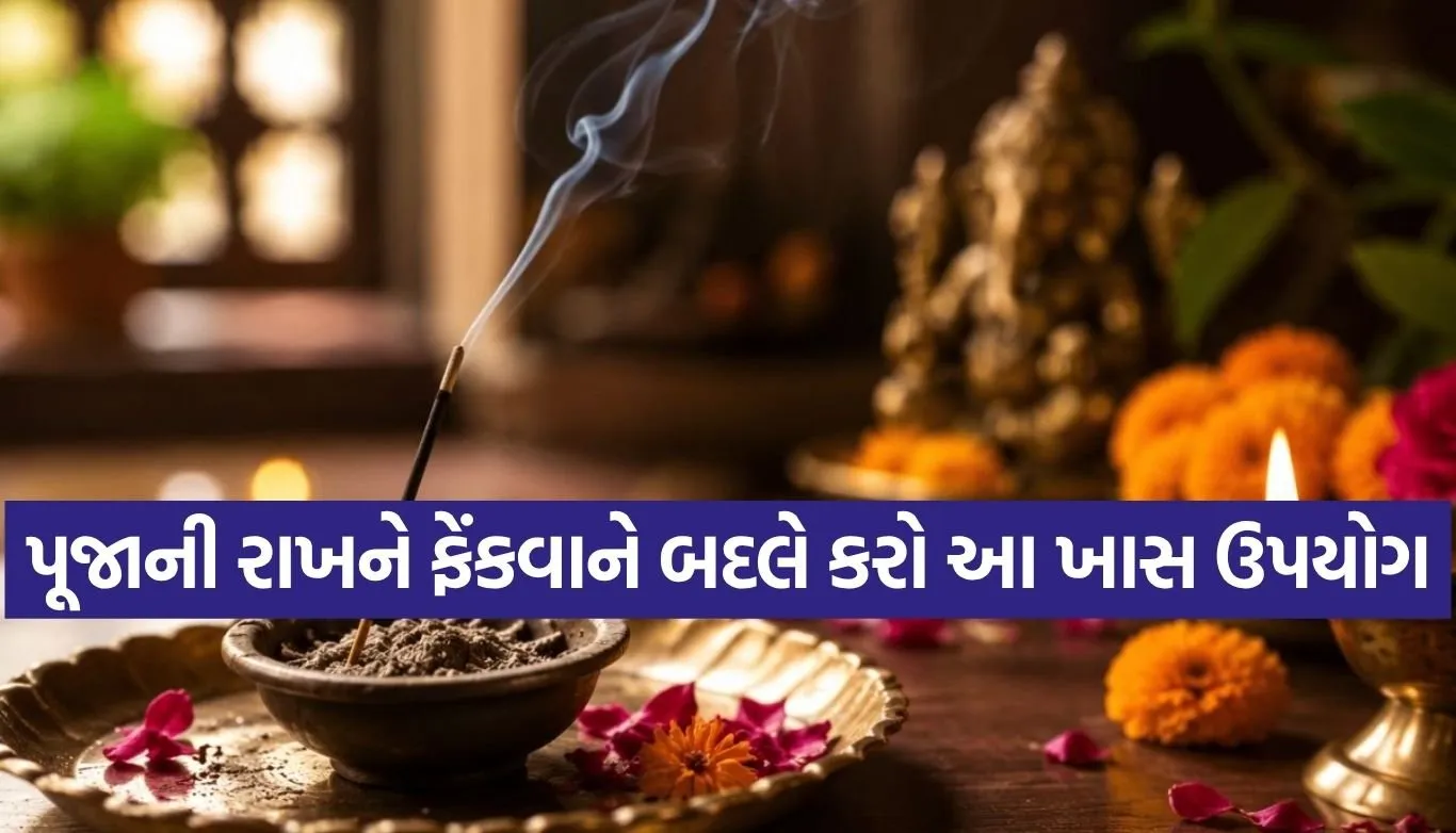 Copy of Satya web temp 1.jpg.webp
