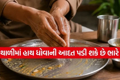 Copy of Satya web temp 24.jpg.webp