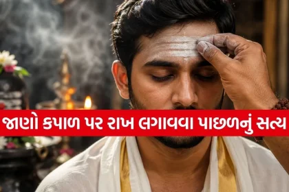 Copy of Satya web temp 33.jpg.webp