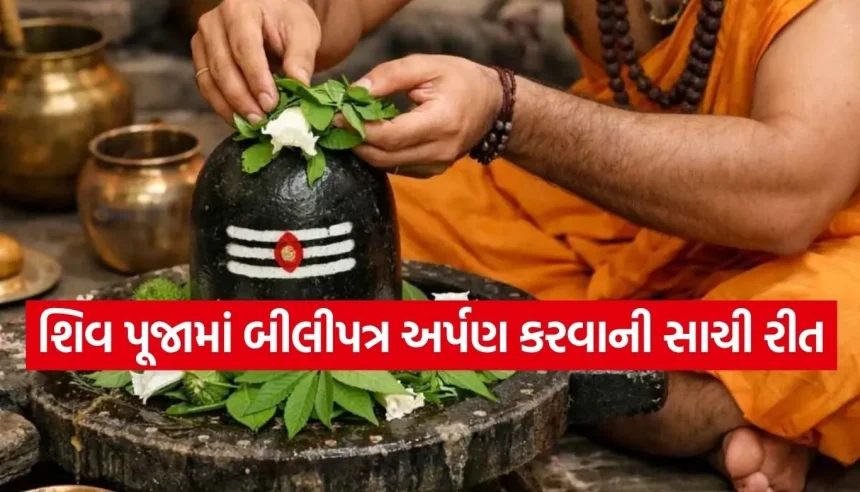 શા માટે મહાદેવને અતિપ્રિય છે ત્રણ પાંદડાનું બીલીપત્ર? જાણો તેનું ઊંડું આધ્યાત્મિક રહસ્ય 1 Copy of Satya web temp 39.jpg.webp