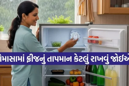 Copy of Satya web temp 53.jpg.webp