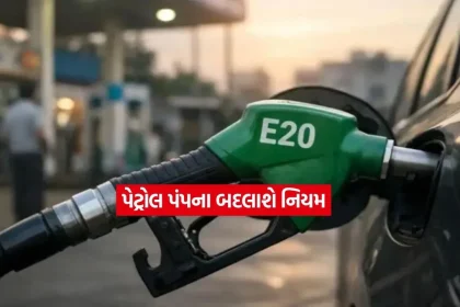 E 20 petrol2.jpg.webp