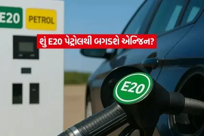 E20 Petrol3.jpg.webp